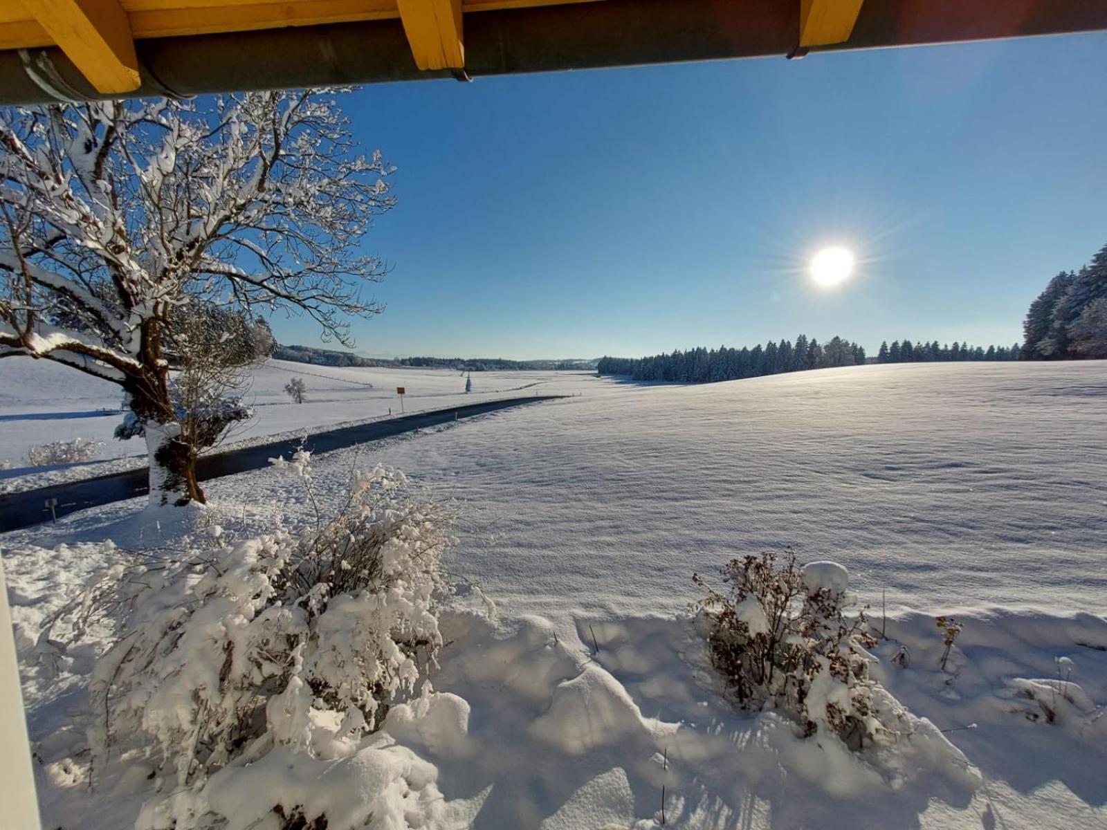 Allgaeu Bergblick Leutkirch im Allgäu Zewnętrze zdjęcie