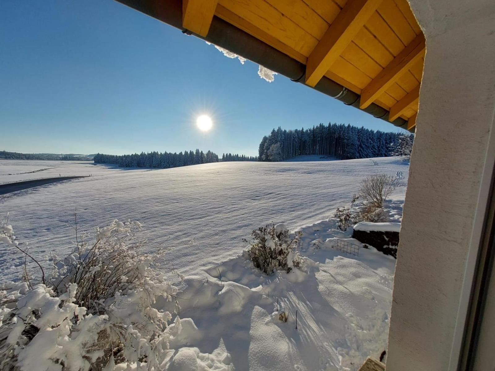 Allgaeu Bergblick Leutkirch im Allgäu Zewnętrze zdjęcie