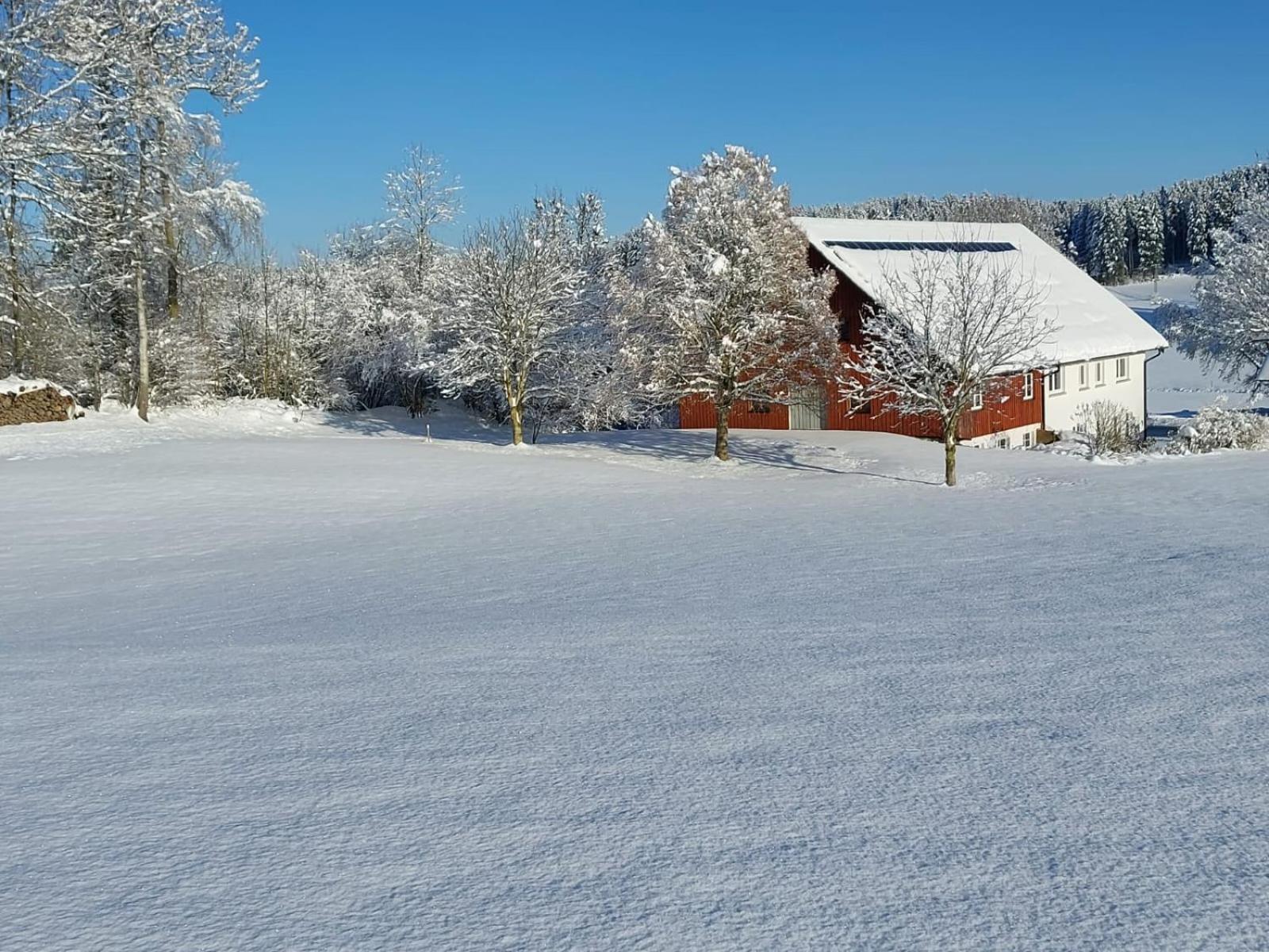 Allgaeu Bergblick Leutkirch im Allgäu Zewnętrze zdjęcie